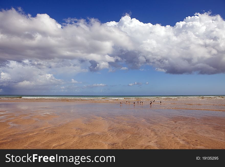 Beach with sand, blue sea and sky, Jandia, Fuerteventura