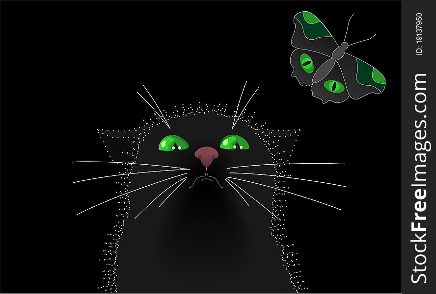 A black cat looks at a butterfly. A black cat looks at a butterfly