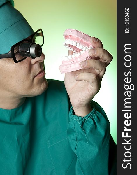 Dentist with gypsum model of human teeth