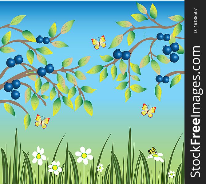 Blueberries with butterflies and bees. Blueberries with butterflies and bees