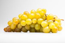 Grape Royalty Free Stock Photos Grape Royalty Free Stock Photos