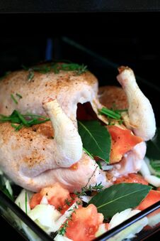 Free Chicken Stock Images - 19144644