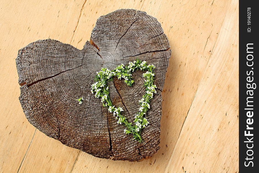 Heart of wood an white flowers in a heart shaped, against wood background. Heart of wood an white flowers in a heart shaped, against wood background