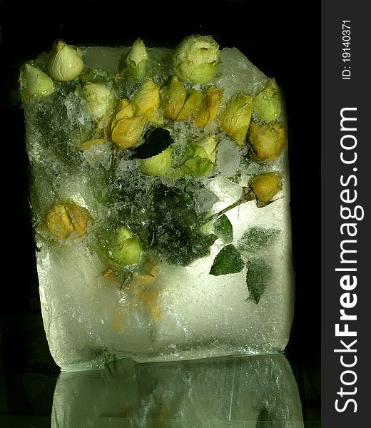 Freeze white roses in ice