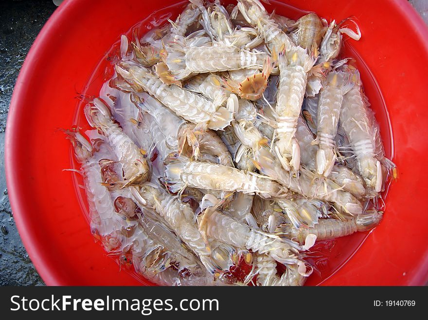 Seto urine shrimp, in seafood market sale, it is one of the people like to eat seafood.