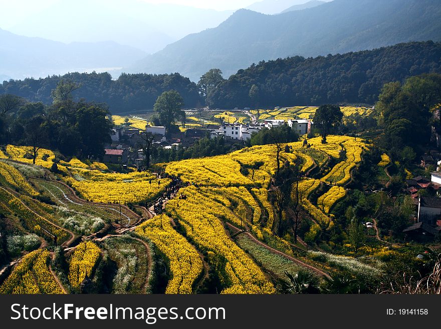 Beautiful landscape in a mountainous area