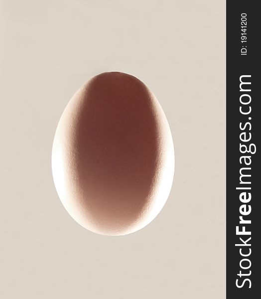 Chicken egg on warm background