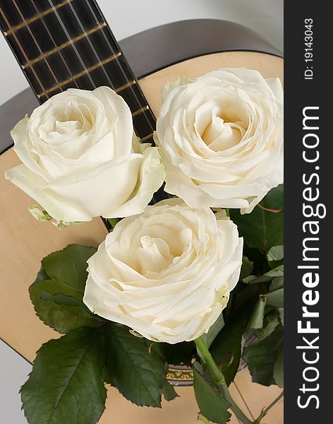 White roses, guitar