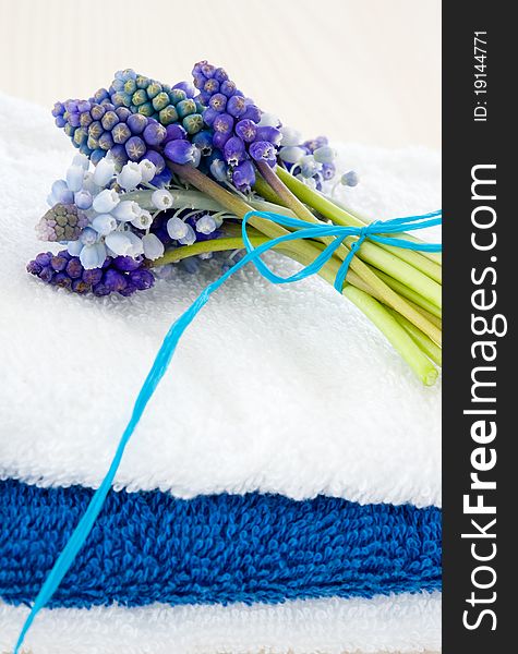 Tower of white and blue towels with bouquets muscari. Tower of white and blue towels with bouquets muscari