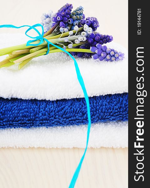 Tower of white and blue towels with bouquets muscari. Tower of white and blue towels with bouquets muscari