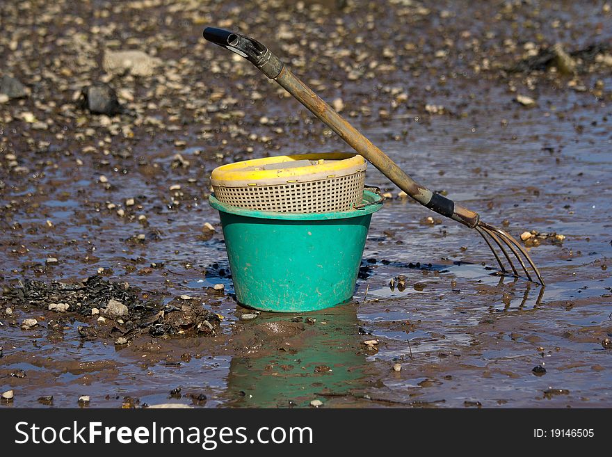 Shell fishing bucket, from a riverside in England.