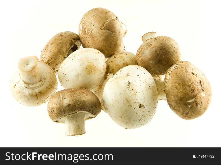 A bunch of mushrooms on a white background