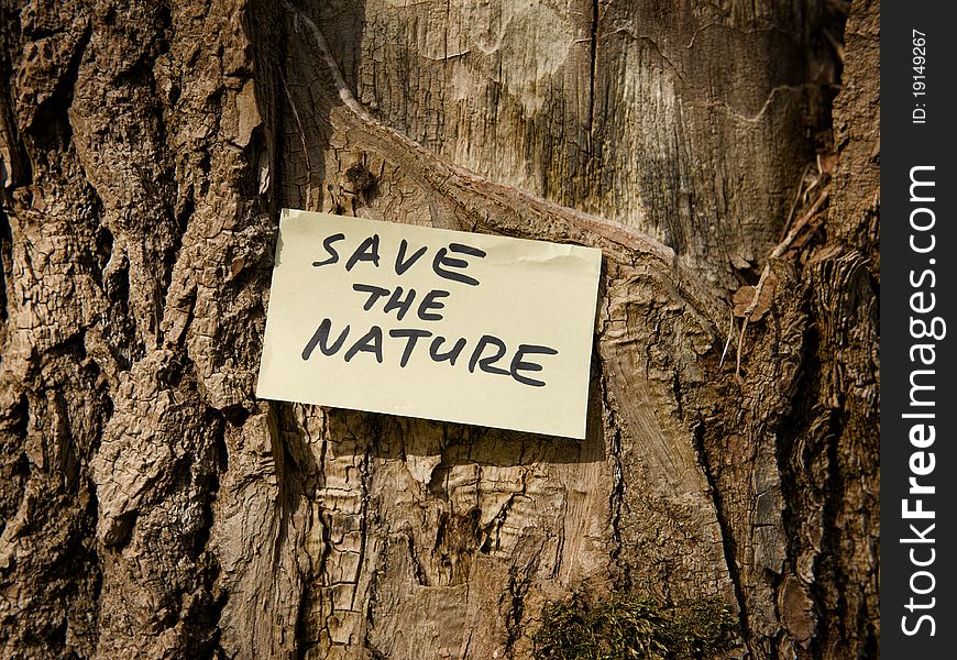 Save The Nature Note On Old Tree