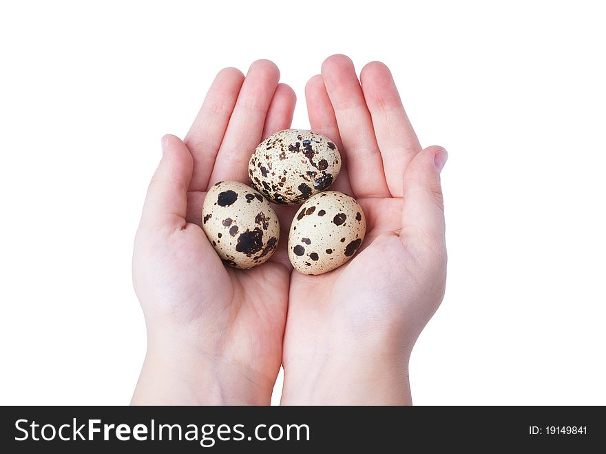 A hand with egg, isoalted on white