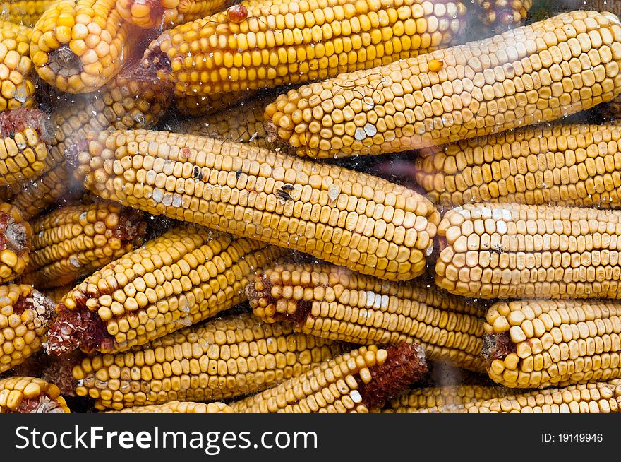 Dry corn texture behind glass