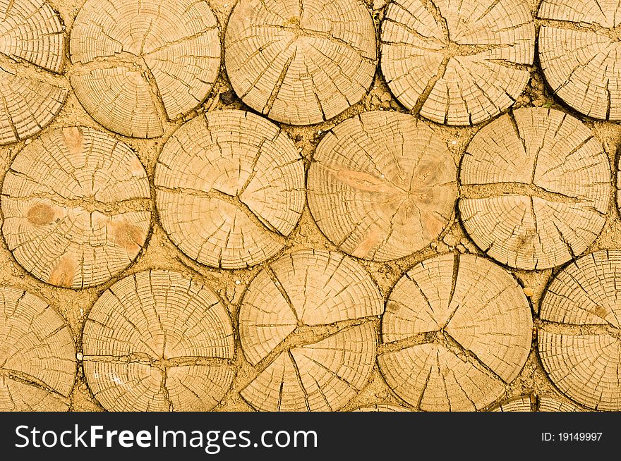 Wooden logs texture in yellow
