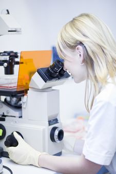 Female Researcher  In A Lab Stock Photography