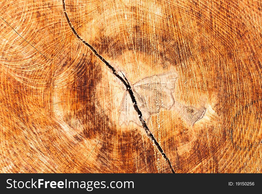 Wood texture with crack