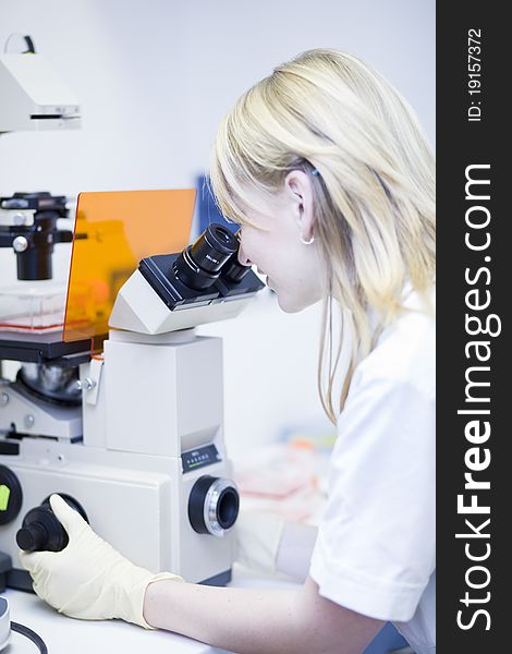 Portrait of a female researcher doing research in a lab (color toned image; shallow DOF). Portrait of a female researcher doing research in a lab (color toned image; shallow DOF)