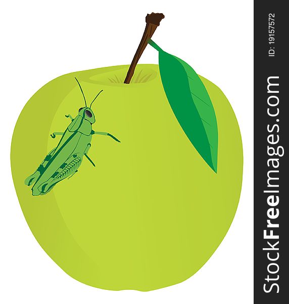 Apple food grasshopper graphic icons