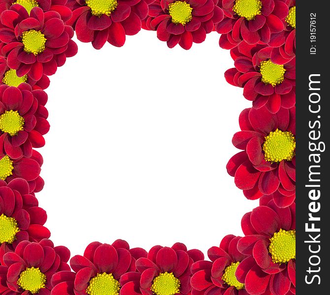 Red chrysanthemum forming a border around a white background