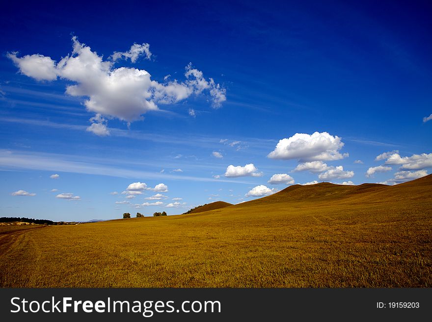 Meadow meets sky in Bashang