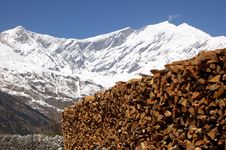 Wood In The Himalayas Mountains Stock Photo Wood In The Himalayas Mountains Stock Photo