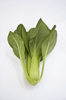 Pack Choy Royalty Free Stock Image Pack Choy Royalty Free Stock Image