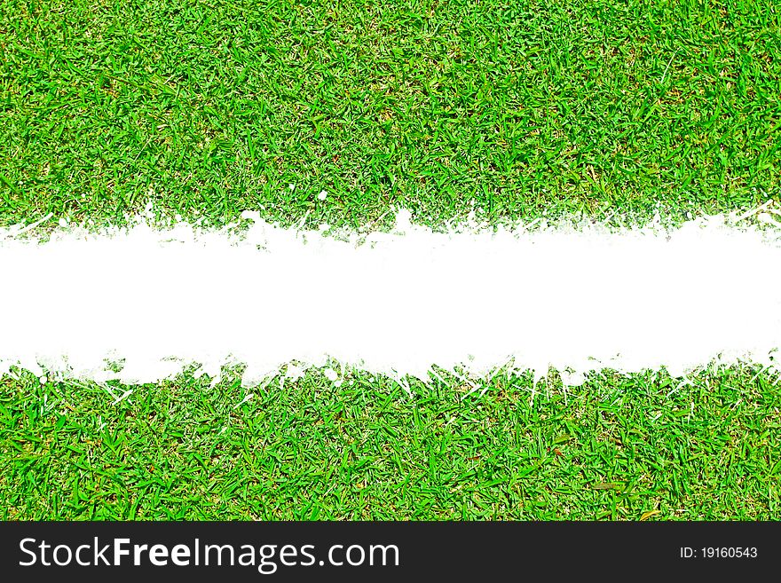 Texture of green grass with scratch space