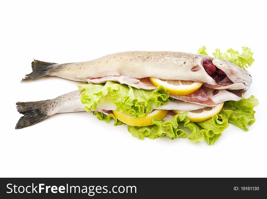 Wild trout caught in natural river, isolated on white background. Wild trout caught in natural river, isolated on white background