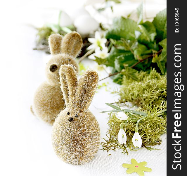 Two easter rabbits on white background