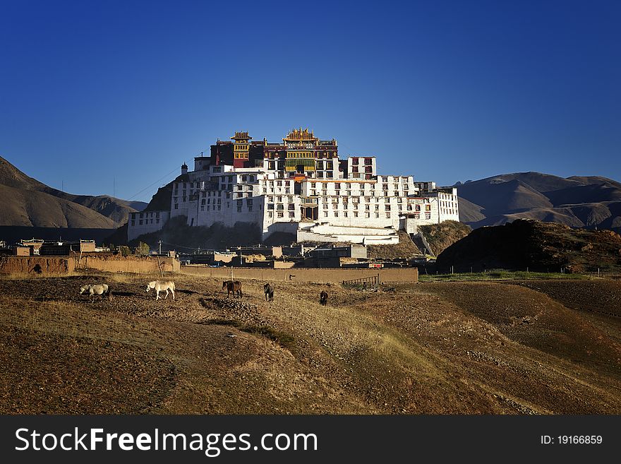 This is a common Buddhist temples of China Qinghai-Tibet Plateau .