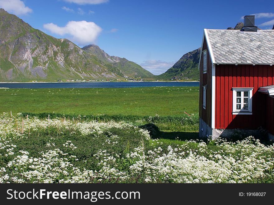 The red wooden house on green meadow