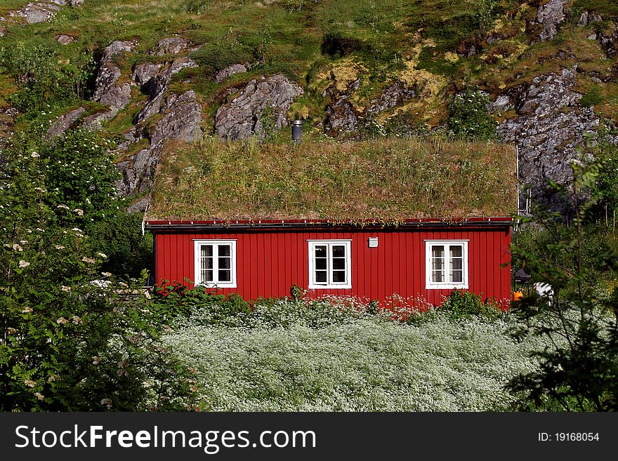 The red wooden house with grass roof