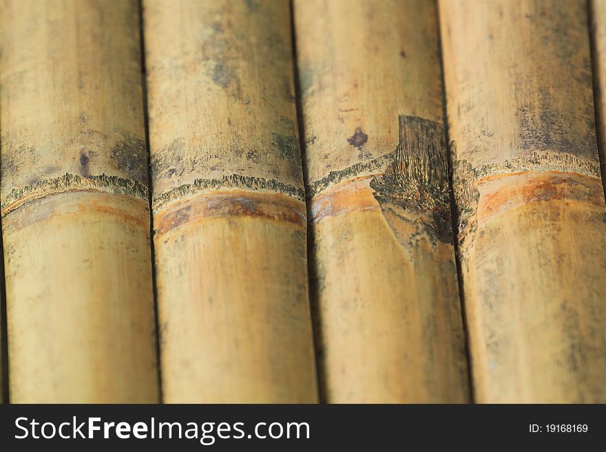 Texture of bamboo can be used for background