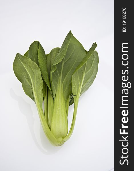 Live organic green pack choy 
Green-Petiole TypE