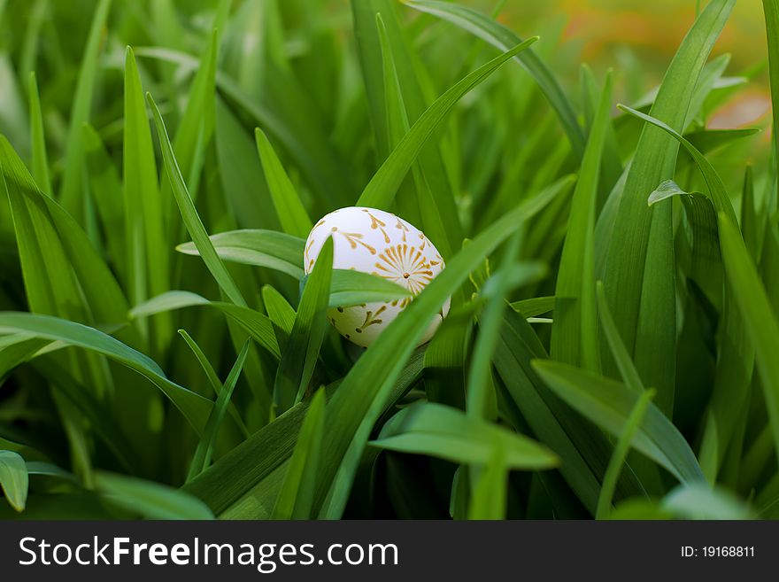 Eastern egg on the green grass