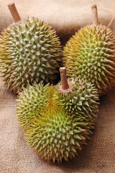 Tropical Durian Fruit Stock Photo Tropical Durian Fruit Stock Photo