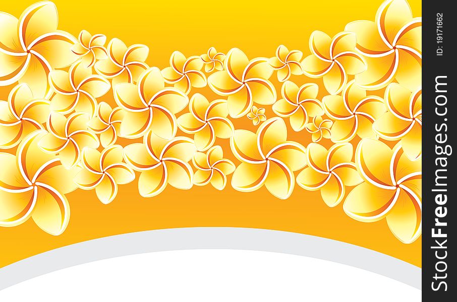 Floral background with frangipani. Image for design.