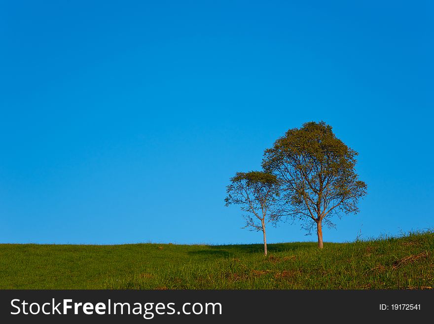 Blue sky with a tree on a hillside meadow. Blue sky with a tree on a hillside meadow.