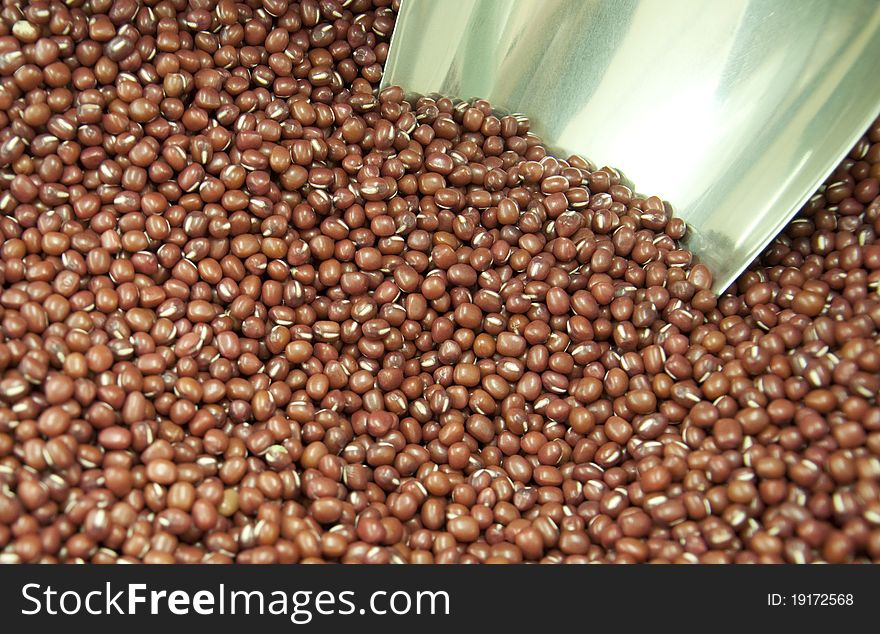 Mung bean ormosia in the market