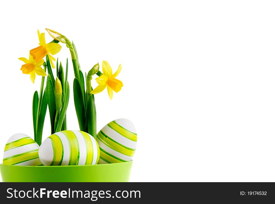 Painted easter egg and yellow daffodil on the white background.