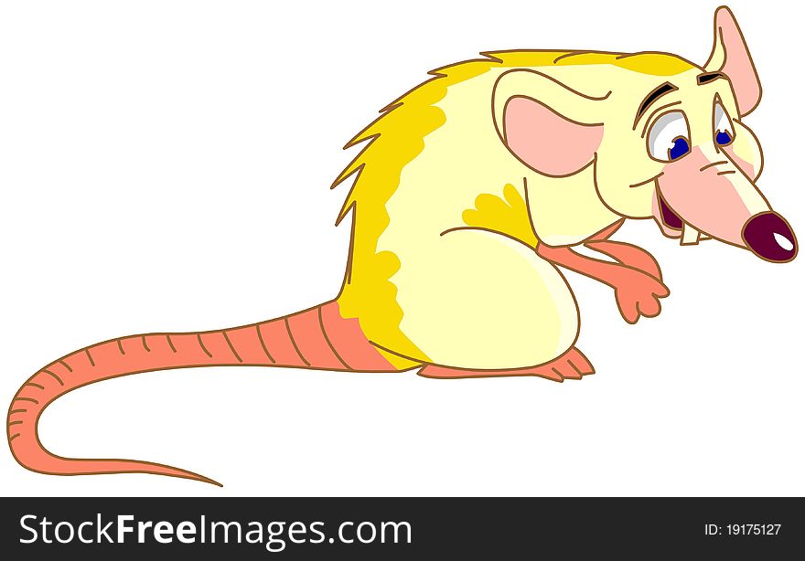 Cartoon illustration of funny rat. Isolated on white. Cartoon illustration of funny rat. Isolated on white.