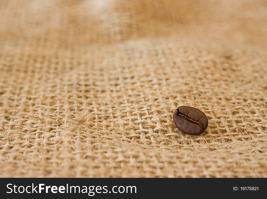 Single coffee bean on burlap sack background. Single coffee bean on burlap sack background