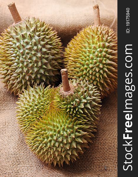 Durian fruit,an Asian fruit,warm climate fruit.on sack cloth. Durian fruit,an Asian fruit,warm climate fruit.on sack cloth.