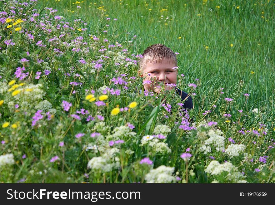 The Boy On The Meadow