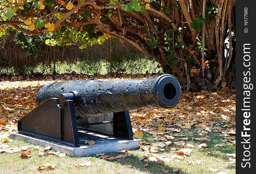 Closeup Of An Iron Civil War Era Cannon With tree And Leaves. Closeup Of An Iron Civil War Era Cannon With tree And Leaves