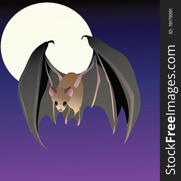 A lesser long-nosed bat flying with the full moon behind it in the background. A lesser long-nosed bat flying with the full moon behind it in the background.