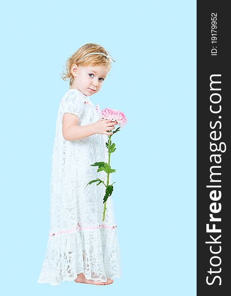 Portrait of pretty girl wearing traditional laced dress for first communion isolated on blue background. Portrait of pretty girl wearing traditional laced dress for first communion isolated on blue background