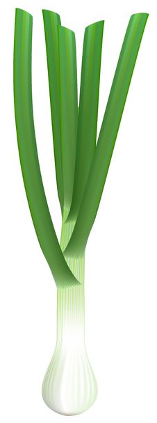 Fresh Green Onions On White Background. Royalty Free Stock Image Fresh Green Onions On White Background. Royalty Free Stock Image